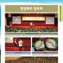 2016년 김장(항암배추,청운무,서호골드무,갓)씨앗/종자 이미지