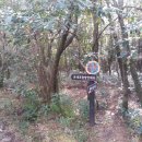 돈내코로 이미지