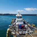 피쉬헌터 이미지