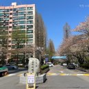 아크로리버뷰 신반포아파트 정문 앞 | 신반포 한신 2차, 반포 디에이치 르블랑 재건축 어디까지 왔나?