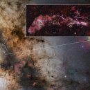 CW-1600-01 이미지