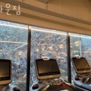 브라운 짐 이미지