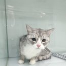 오션동물메디컬센터 이미지