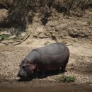 마라천국 이미지