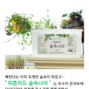 세움라이프