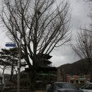 등산로(상) 티스토리