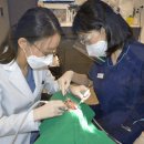 서울믿음치과의원 이미지