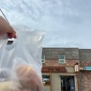 정다운 | [제주/애월] 소금빵 종류 이렇게 많다고? 두쫀쿠까지 맛도리였던 정다운빵집 내돈내산 솔직후기