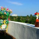 왈종미술관 이미지