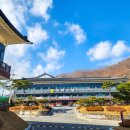 영산사우나 | 강원도 여행 숙소 추천, 실내수영장과 연말디너뷔페가 맛있는 태백산 당골광장 태백호텔