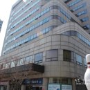 타파웨어 아이비 네이버블로그