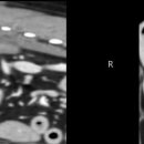 코지동물의료센터 이미지