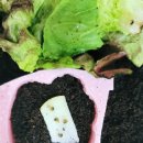 달팽이어린이공원 이미지