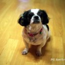 서지경로당 이미지