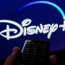 대미플러스 이미지