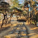 정발산공원 이미지