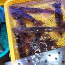 설악산네 이미지