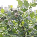 유가네농장 이미지