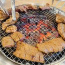 혼섬갈비