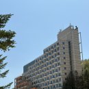 로얄게임장 | [평창] 휘닉스파크 블루동 로얄 스위트 25층 후기 | 부대시설 총정리(루지·블루캐니언·곤돌라)