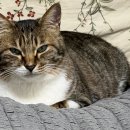 e편한집 이미지