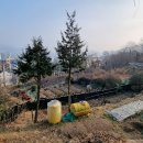 자산동242 이미지