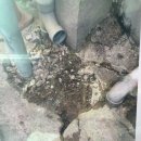 군포 아파트누수탐지 아랫집에 떨어져요, 누수케어 파트너스 상담 후기