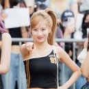 포토시그니처