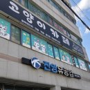 익산 고양이카페 아이캣유 | 익산 아이캣유 고양이카페 다녀왔어요♡♡익산 아이와 갈만한곳 추천