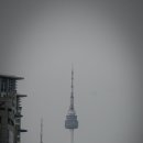 서울한강초등학교 이미지