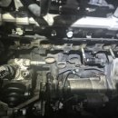 DM모터스 이미지