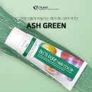주식회사 얼티미트 | 싱그러운 5월에 어울리는 헤어매니큐어 추천, 애쉬 그린