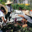 시티농장 이미지