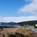 세화 교차로 이미지