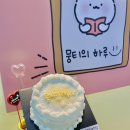 뭉티의 하루 이미지