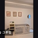 솜솜 애견미용 이미지