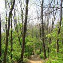 신록1로 이미지