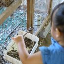 씨돌농장 이미지