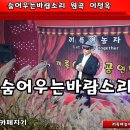 숨어우는바람소리 원곡 이정옥 이미지