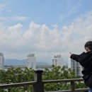 하단동220 이미지