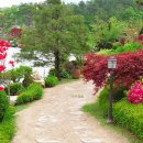 물빛정원펜션 이미지