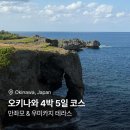 대은정보 | 오키나와 4박 5일 3일차 - 만좌모 코끼리 바위, 세나가섬 우미카지 테라스