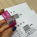 쨀밍일상