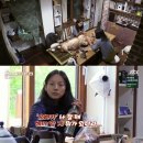 뿐이네민박 TV리포트
