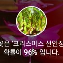 꽃피우다;봄