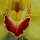 안제의원 이미지