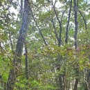 호스텔 케이팝 이미지