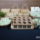 박하향기협동조합 뉴시스