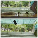 동행청소연구소 이미지