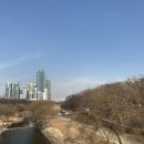 지인특허법률사무소